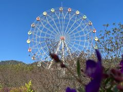 -田野绿世界