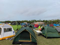 -春花秋色城市公园