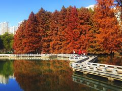 -白塘生态植物园