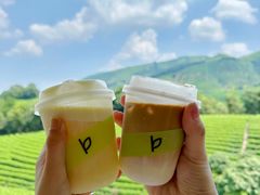 -白茶原·一片叶子
