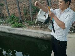 -特种渔场
