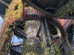 -芒洲湿地公园