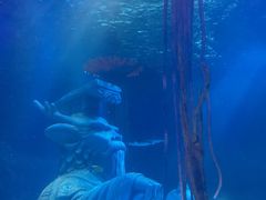 -沈阳海洋探索中心