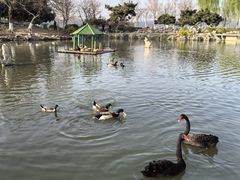 -玄武湖景区-情侣园游乐场