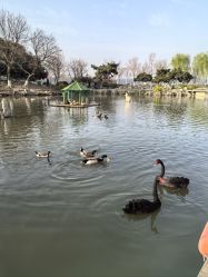 -玄武湖景区-情侣园游乐场