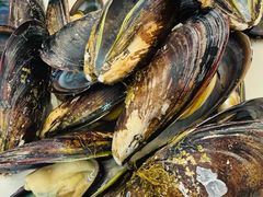 -众味海鲜大排档·活海鲜·潮汕味(南澳店)