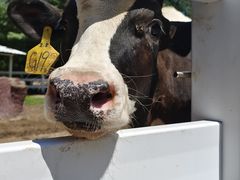 -哈尔滨北方森林动物园