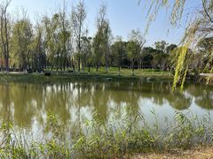 -洋湖国家湿地公园