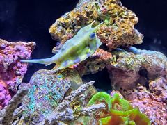 -上海海洋水族馆