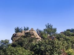 -大岭沟猕猴桃谷风景区