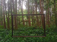 -同里国家湿地公园