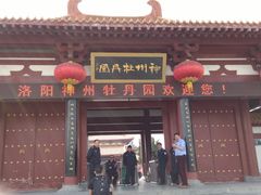 -神州牡丹园