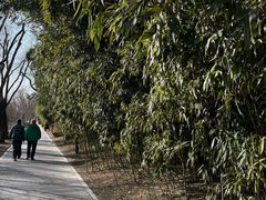 -元大都城垣遗址公园