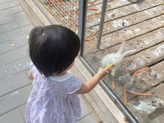 -北京鹿世界主题园