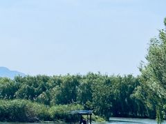 -白塔湖国家湿地公园