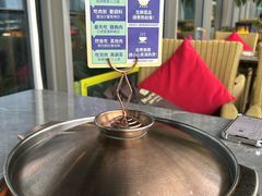-润园四季椰子鸡火锅(海上世界店)