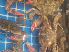 -木柴豆腐·活海鲜·鲁菜(岚山路店)