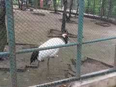 -哈尔滨北方森林动物园