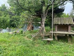 -宁波野生动物园