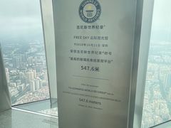 -Free Sky 云际观光层