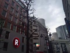 -秋叶原电器街