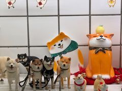 -柴务处·柴犬主题狗咖