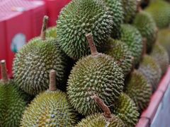 -Ah Hung D24 Sultan Durian