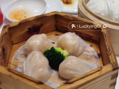 -东方御宴海鲜酒楼(棕泉酒店)