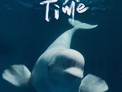 -泉城欧乐堡海洋极地世界