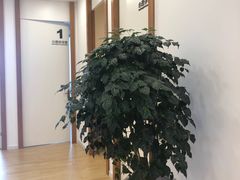 -桥恩心理咨询国际连锁(南山总店)