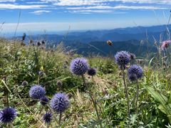 -白草畔自然风景区