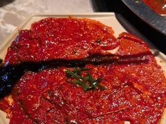 -新渝城·川菜·火锅(区庄店)