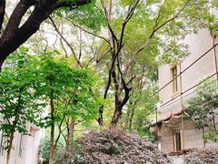 -张江润和国际总部园