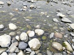 -汉江公园