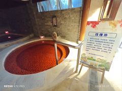 -大千天鹅湾温泉