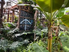 -呀路古热带植物园