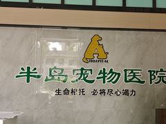 -半岛宠物医院24小时(科华中路店)