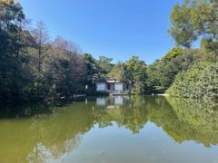-深圳仙湖植物园