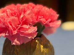 -老吉堂上海本帮菜(工体店)