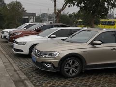 -桤木河湿地公园