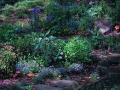 -上海共青森林公园