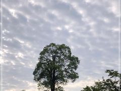 -紫马岭公园