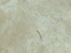 -园林格兰云天大酒店-太极名厨中餐厅