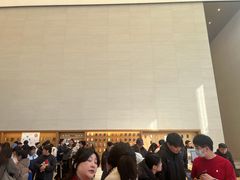 -Apple零售店(苏州店)
