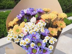 -ChaKo Flora ·茶子花艺 (市北店)
