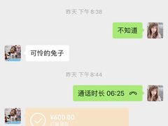 -雨林宠物医院 非犬猫异宠专科