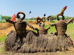 -长兴太湖图影湿地文化园