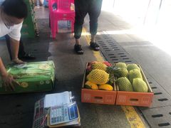 -三亚新鸿港水果一级批发市场