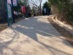 -府君山公园