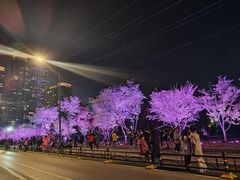 -西北湖绿化广场